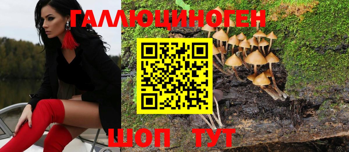 Галлюциногенные грибы мухоморы Ростов Великий