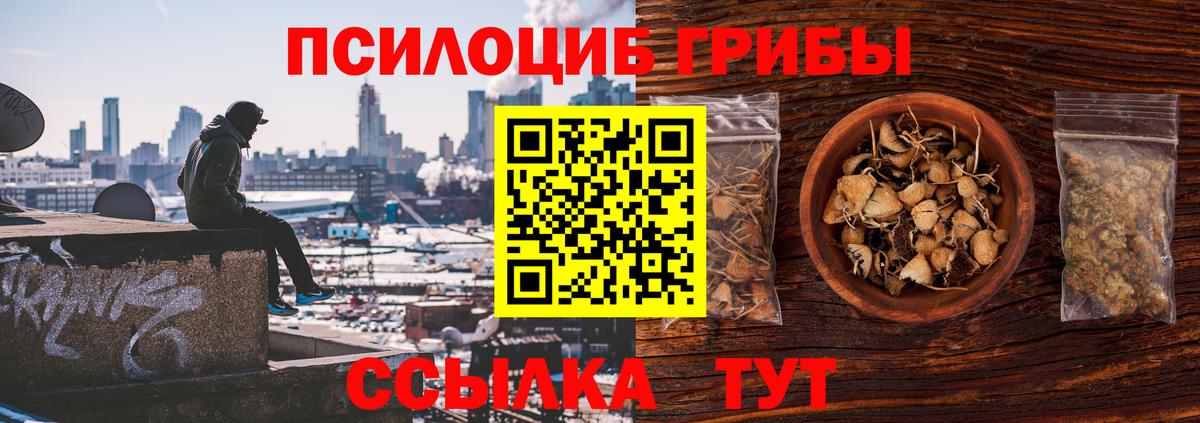 магазин продажи   Вход с VPN  Ростов Великий  Галлюциногенные грибы мицелий 